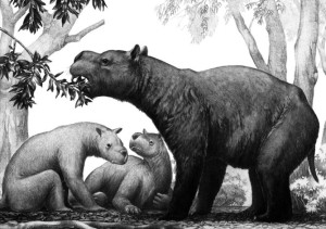 Diprotodon