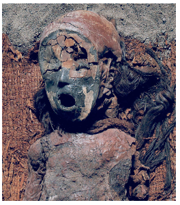 Atacama mummy