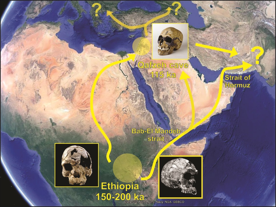 was-the-exodus-of-homo-sapiens-out-of-africa-paced-by-orbital-cycles